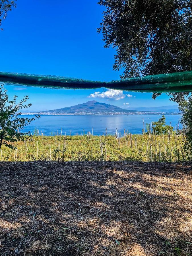 Antica Tenuta Celotto ヴィーコ・エクエンセ エクステリア 写真